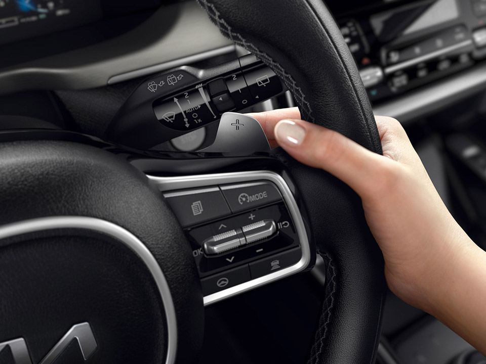 Paddle Shifters